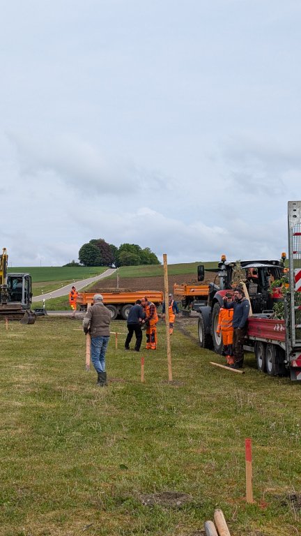 Pflanzaktion STS - Gemeinde - ausstecken 2- von Martin Koch