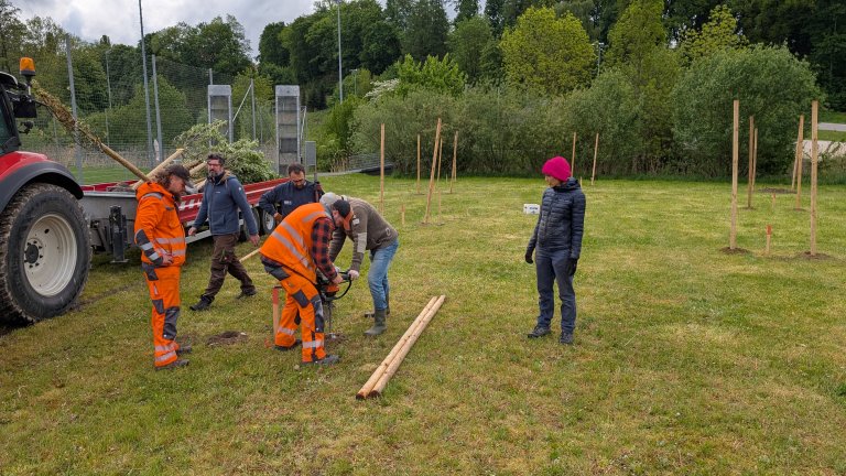Pflanzaktion STS - Gemeinde - bohren - von Martin Koch