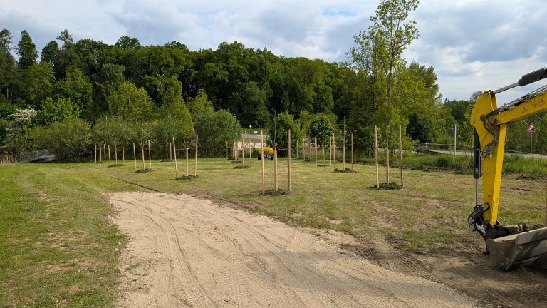 Pflanzaktion STS - Gemeinde - fertig 3 - von Martin Koch