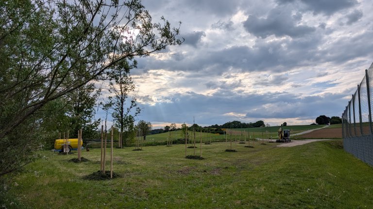 Pflanzaktion STS - Gemeinde - fertig 4 - von Martin Koch
